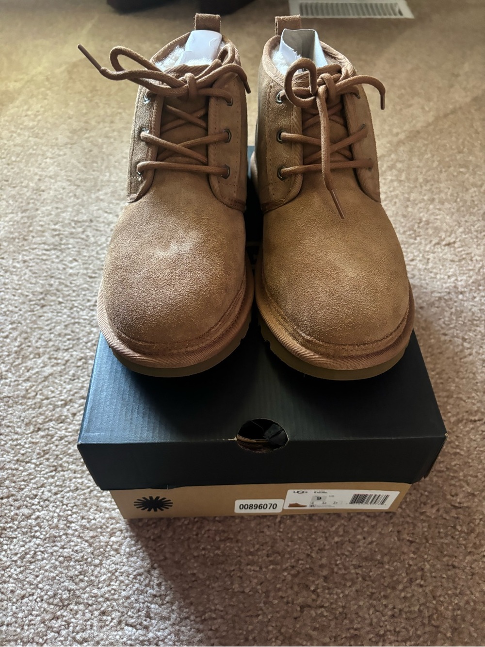 UGG Men's Chukka Boots in Chestnut Brown Suede